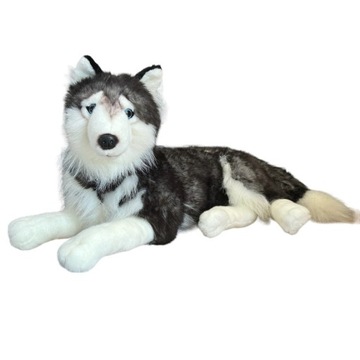 DUBI PIES HUSKY maskotka duży piesek pluszak wilczur