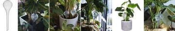 ИРРИГАЦИОННЫЕ ШАРИКИ IRRIGER ДЛЯ РАСТЕНИЙ ЦВЕТОВ Диспенсер для воды производства Польши