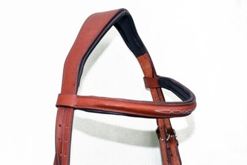 Профилированная анатомическая команда полна