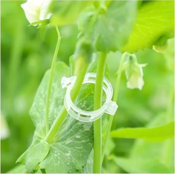 50 шт. прозрачные зажимы для растений.
