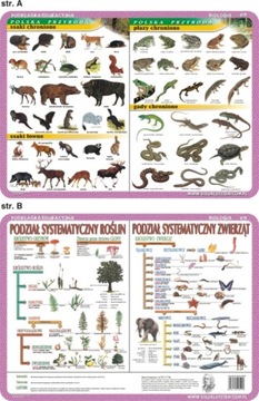 Развивающий блокнот Садовые растения...