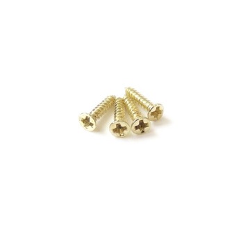 Wkręty stalowe mosiądzowane 2x10 mm 50 szt.
