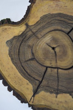 Штукатурка смоляная заливочная 40х45Гр7,5 Орех