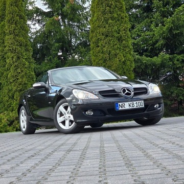 Mercedes SLK R171 Roadster 3.0 V6 (280) 231KM 2008 Mercedes SLK 280 R171 3.0 Benzyna 7G-TRONIC Sport, zdjęcie 30