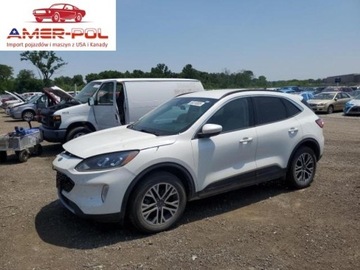 Ford Escape III 2020 Ford Escape Sel awd 2.0 Benzyna 250KM