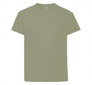 KOSZULKA DZIECIĘCA T SHIRT BLUZKA JASNOSZARA 128