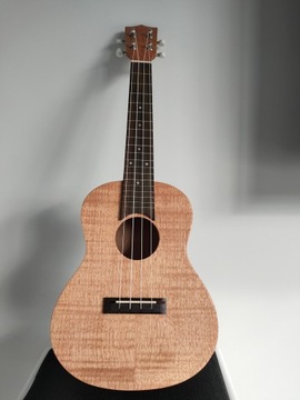 Профессиональная деревянная Гавайская концертная гавайская гитара