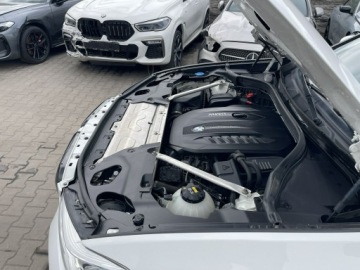 BMW X3 G01 SUV 3.0 30d 265KM 2019 BMW X3 Luxury Line Xdrive Salon Polska, zdjęcie 18