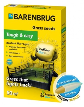 Trawa Barenbrug Na Suszę Resilient Blue Tough