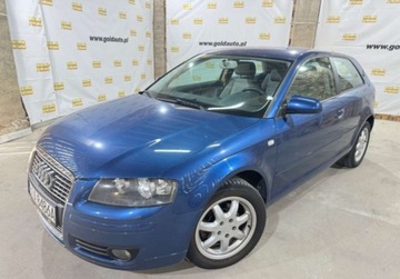 Audi A3 8P Hatchback 3d 1.6 102KM 2007 Audi A3 1.6 Mpi 102KM Piekna Sprawdz, zdjęcie 4