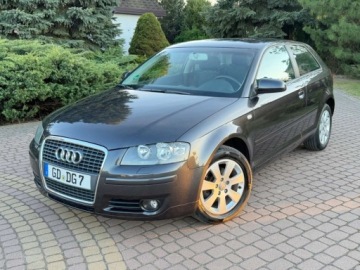 Audi A3 8P Hatchback 3d 1.6 102KM 2004 Audi A3 3-drzwiowe 1.6mpi 102KM Klima Alusy Grzane fotele Sprawdz 1.6, zdjęcie 9