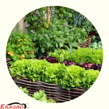 Удобрение BioHumus для зеленых растений 5 л для полива Польский продукт