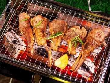 САДОВЫЙ ГРИЛЬ СКЛАДНОЙ ТУРИСТИЧЕСКИЙ ПОРТАТИВНЫЙ УГОЛЬНЫЙ ГРИЛЬ ПОХОДНЫЙ ЧЕМОДАН