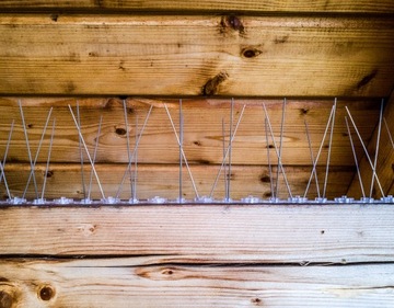 GĘSTE KOLCE NA PTAKI KOLCE PRZECIW PTAKOM ANTYPTAK