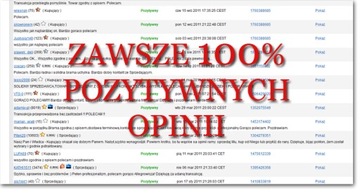 BRAMY GARAŻOWE ROZWIERNE LEGBUD BRAMA ROZWIERNA