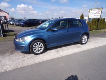 Volkswagen Golf VII Hatchback 3d 1.6 TDI-CR DPF 105KM 2013 VOLKSWAGEN GOLF VII 1.6 TDI Z NIEMIEC ZAREJESTROWANY, zdjęcie 3