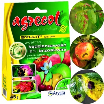 SYLLIT 65WP NA CHOROBY DRZEW OWOCOWYCH KĘDZIERZAWOŚĆ LIŚCI PARCH JABŁONI