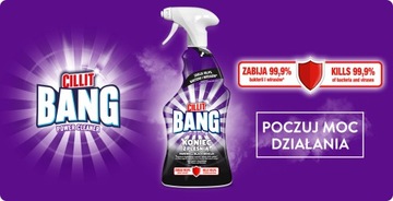 CILLIT BANG 750 Spray Power Cleaner Pleśń I Osady