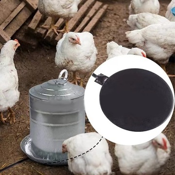 Podgrzewacz poidła do kurczaka z regulacją temperatury Podstawa grzewcza dla drobiu