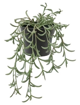 IKEA FEJKA - sztuczna roślina starzec rowleya 9 cm