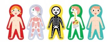 ЧУЧУ, НО ЗАГАДАЙТЕ МОЕ ТЕЛО ТВОРЧЕСКИ В течение 3 ГОДА