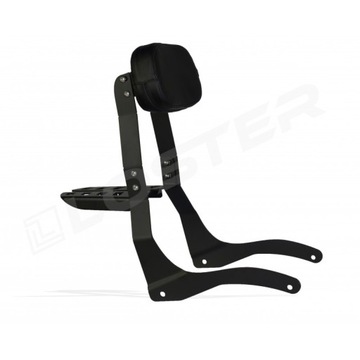 OPARCIE PASAŻERA Z BAGAŻNIKIEM INDIAN SPRINGFIELD