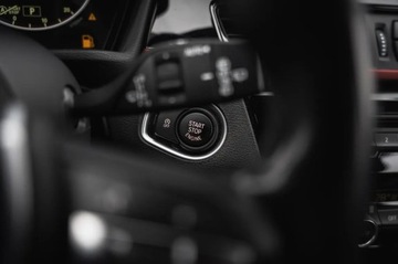 BMW X1 F48 Crossover xDrive18d 150KM 2015 BMW X1 xDrive18d, Salon Polska, 4X4, Automat, zdjęcie 28