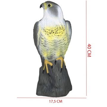 ЯСКОВ-СОКОЛ-ОТПУПЫВАТЕЛЬ ПТИЦ Скворцы ГОЛУБИ