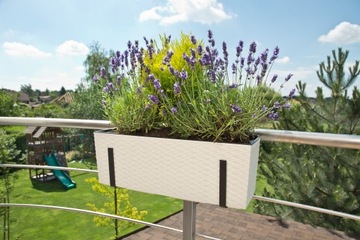 Подставка для цветов Begonia Rattan Lamel 5 цветов + вставка