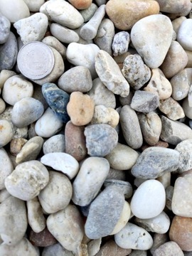 LAS W SŁOIKU OTOCZAK MIX MIODOWY RZECZNY 0,5 KG