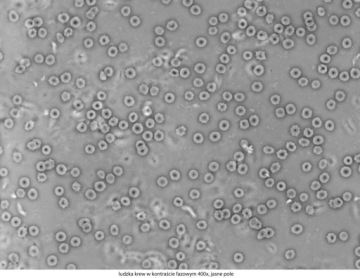 Микроскоп Delta Optical Genetic Pro Bino + аккумулятор