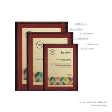 Диплом Эксклюзивный сертификат ROSA 15х20см.