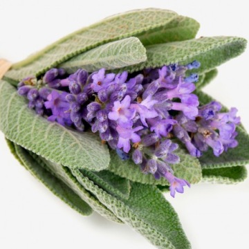 Yodeyma WOW SCENT Парфюмированная вода 50 мл EDP