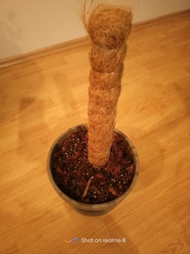 Вставка для кастрюль 