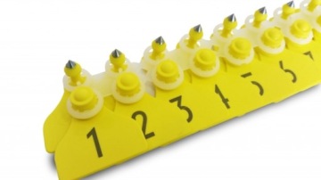 Серьги для свиноматок с номерами