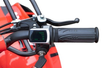 Электрический квадроцикл Torino 1000 Вт, 48 В, 6-дюймовые колеса