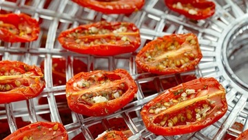 БОЛЬШАЯ РЕГУЛИРУЕМАЯ СУШИЛКА ДЛЯ ГРИБОВ, ФРУКТОВ И ТРАВ