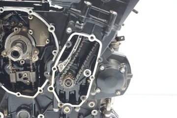 ТРИУМФ ТИГР 800 10-17 ГАРАНТИЙНЫЙ ЗАПУСК ДВИГАТЕЛЯ