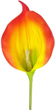KALIA CALLA GUMOWA dł 60 cm KWIAT GAŁĄZKA