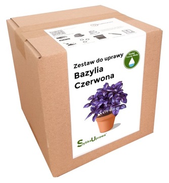 BAZYLIA CZERWONA zestaw do uprawy domowej zioła