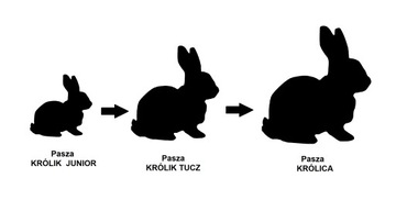ПИАСТОВЫЙ КОРМ ДЛЯ КРОЛИКОВ для кормящих мам 25 кг