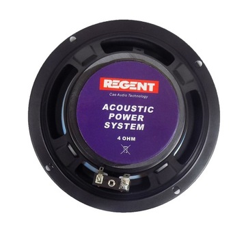 REGENT GŁOŚNIKI BASOWE AUDI A3 8L A4 B5 A6 C5 TT