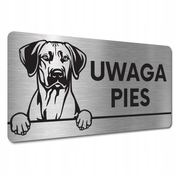 TABLICZKA UWAGA PIES ZŁY PIES Rhodesian ridgeback TABLICZKA UWAGA ZŁY PIES