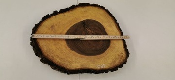 Срез грецкого ореха после высыхания 38х30см Столешница