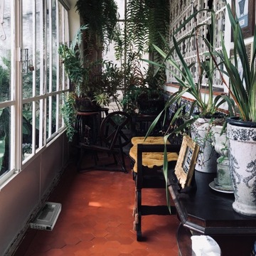 Миликулярная мышиная ловушка