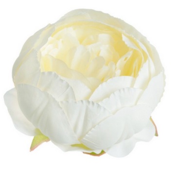 PEONIA PIWONIA GŁÓWKA WYROBOWA PEŁNA 8cm