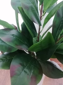 Ficus Oakleaf искусственный цветок кротон украшение