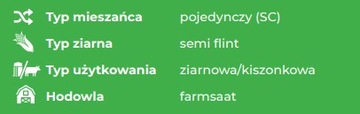 Семена Кукуруза Байдинтер ФАО 230-240 З/К 50 тыс.