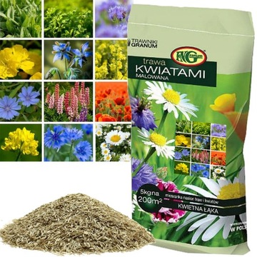 ŁĄKA KWIETNA 5KG TRAWA MIX ROŚLIN KWITNĄCYCH CAŁOROCZNY SIEW LETNIE KWIATY