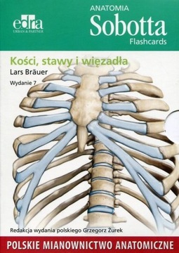Anatomia Sobotta Flashcards pol. KOŚCI STAWY TANIO